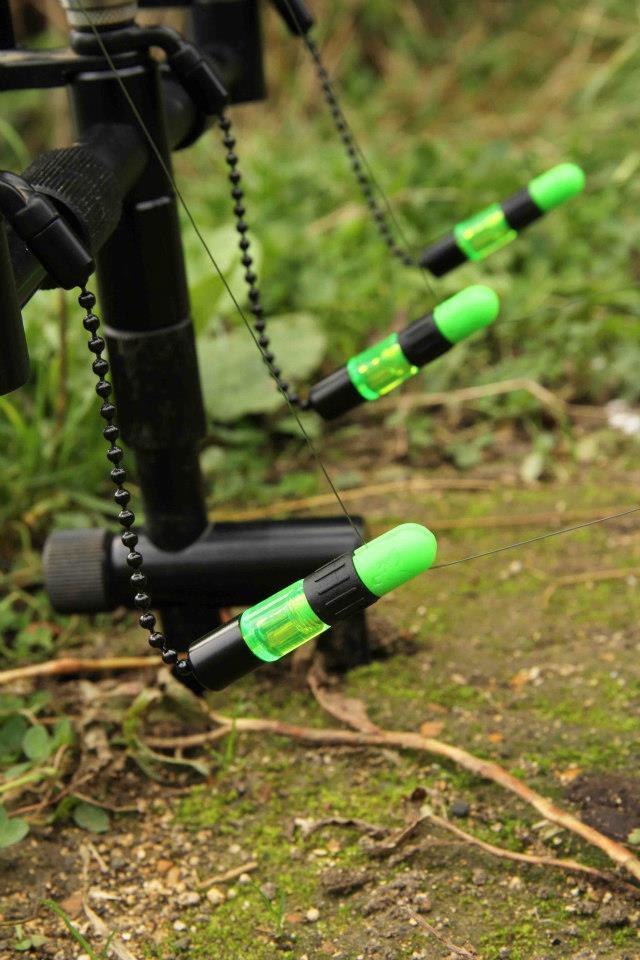 FOX - 3142954316544335588101737385416n.jpg